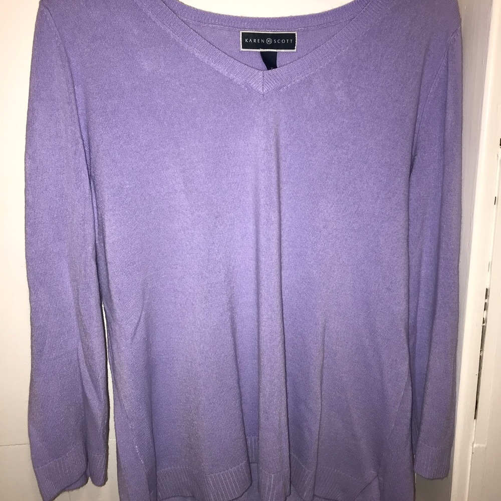 Karen Scott purple v-neck sweater